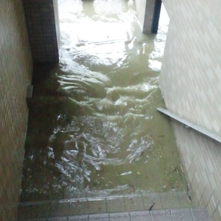 16c80d7f 168c 4b3c b221 1d08cc29e6c0 1658640702475