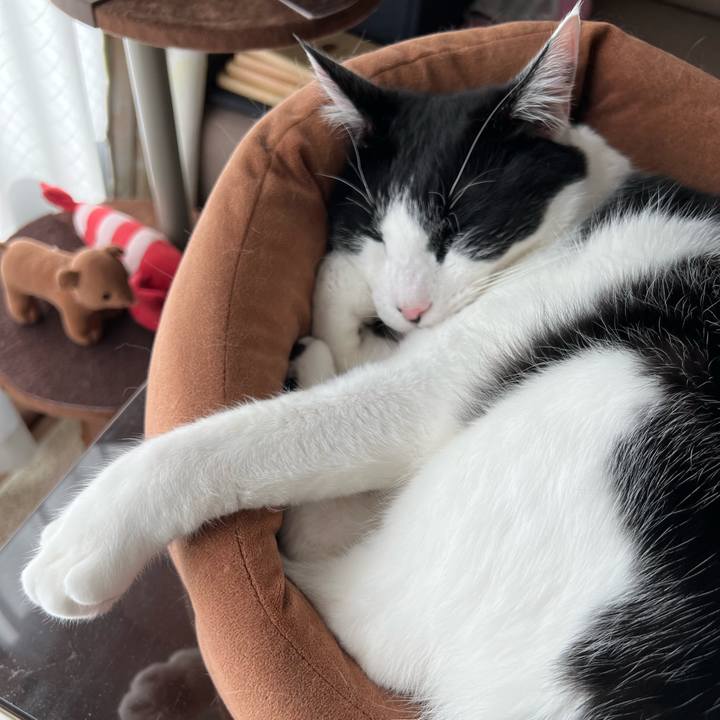 16c8c228 e093 46e1 8d57 3c03e5e15d81 1673431353138