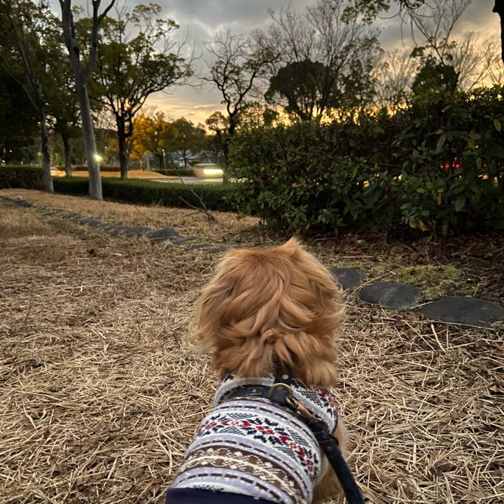 16c8cc53 85d1 4a67 8226 01c0c3667c9d 1579644582071