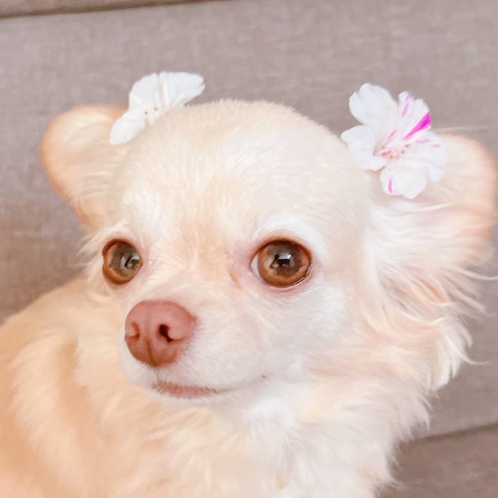 16c8e5f3 2c3a 4c7c 8899 b9138c24c4b5 1657508919128