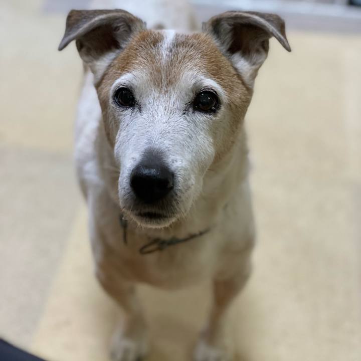 16c8e9d6 e3f5 43b6 b07a 1cc4dc4775f9 1644836502581