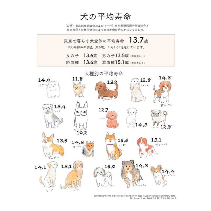 16c8fce0 40ed 437c 8a55 b3adcb58fb96 1549256750218