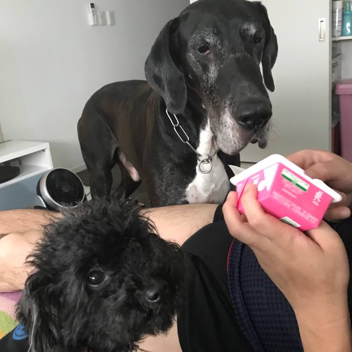 16c92f19 eb2d 4ee8 9c4a 917cde474bed 1530335575737