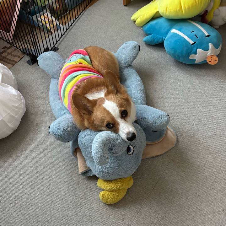 16c93dda 9126 41aa 8e7d dfbaa0a2e941 1765493157263