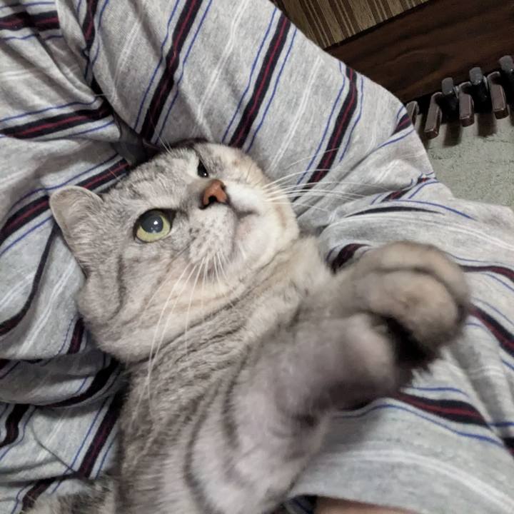 16c9786d 797d 42d3 8035 ff124b62d328 1751733290621