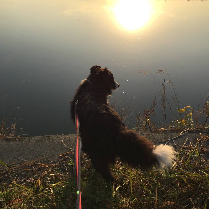 16c9bbde 2acd 49bd 98b1 c93f49d5bf13 1573167711556