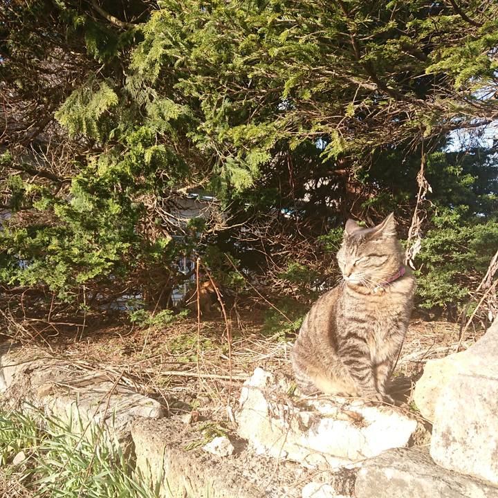 16c9ecaa 7a6f 46af a4ac 81156283c67d 1649144741200