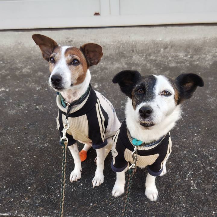 16c9ee9b 0a10 4a4c 9ed0 ebb3b9ca456a 1763160309260