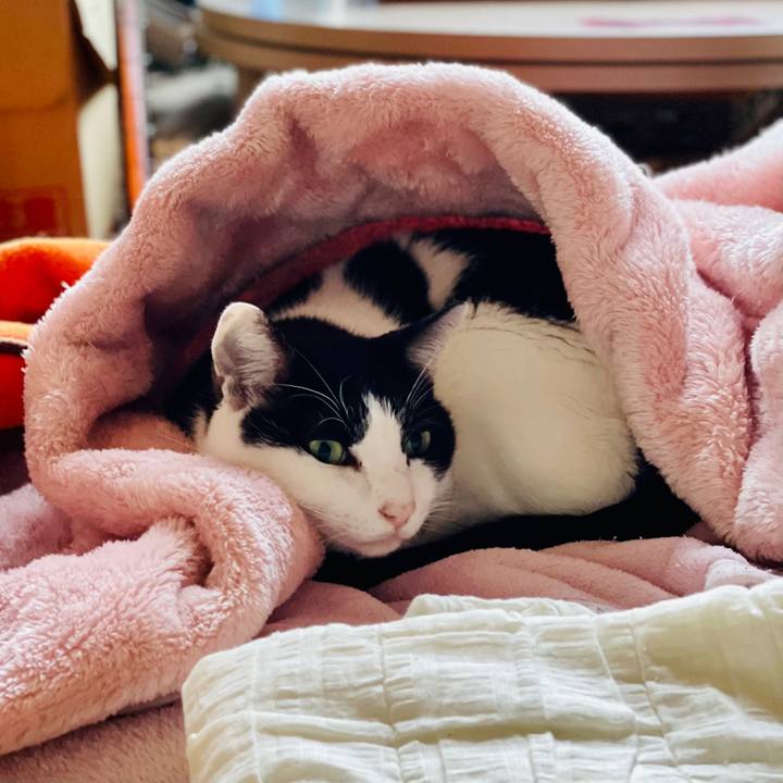 16ca220a b1f9 4b65 bfe7 5a9dae159f00 1606615563371