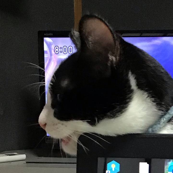 16ca48a1 ce5f 4ed8 aff1 72fdc7212689 1635134223714