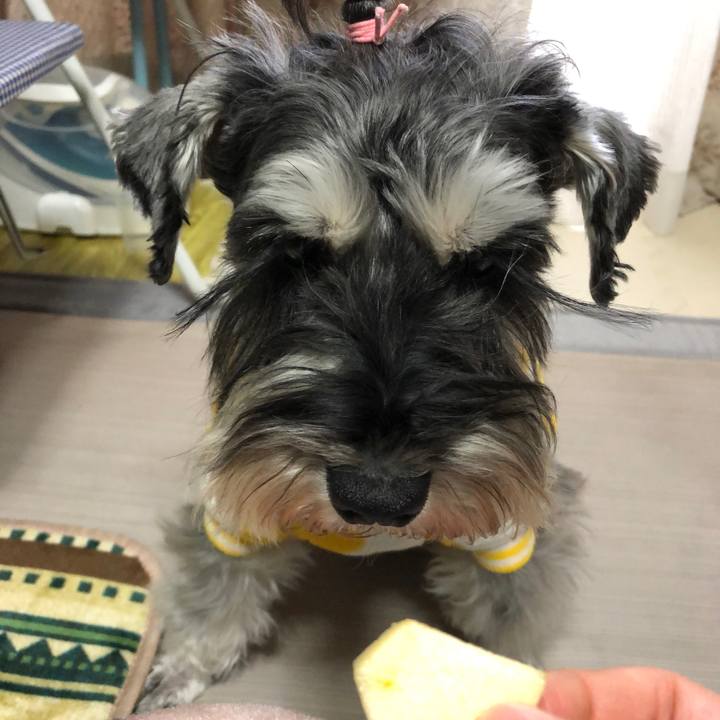 16ca6b11 a527 415e b358 1469b28bc5e1 1609570362100