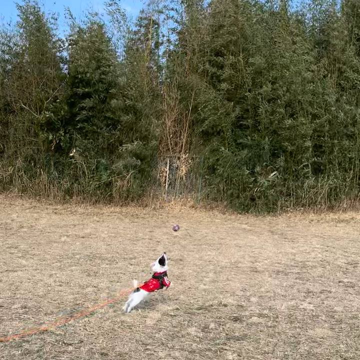 16cab01b 7e65 475f b2f4 6449f68d801e 1676854170738