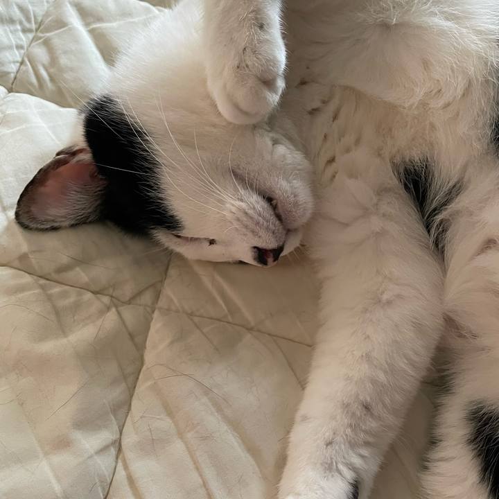 16cabe63 b986 4a6a ae96 d8db08de65c7 1650674591052