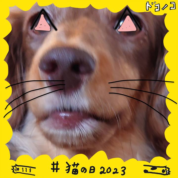 16cac77e dbde 4aed 9376 ede158ead707 1677049043666