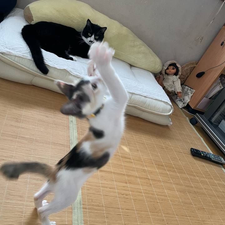 16cad225 6a1e 480f 9341 c4314ee72de1 1658875789425