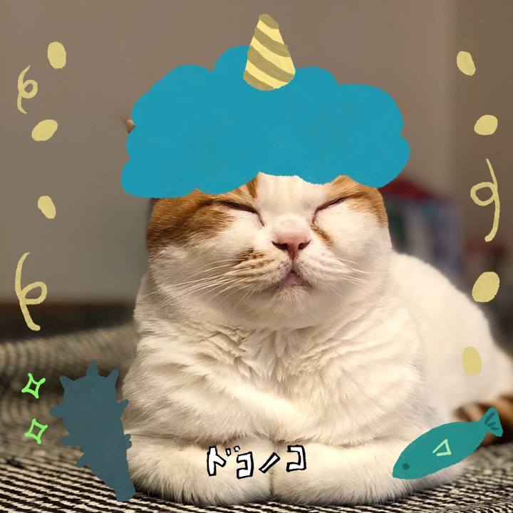 16cb20e5 d4aa 41e8 bd38 07b1021996c3 1706756158975
