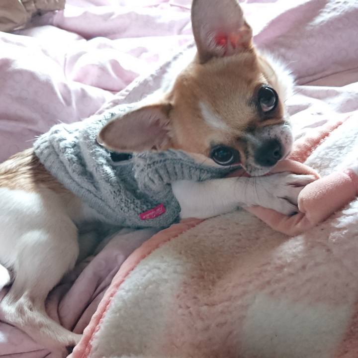 16cb68d7 d3d6 4c07 96a1 15ded6a357ee 1546562105294