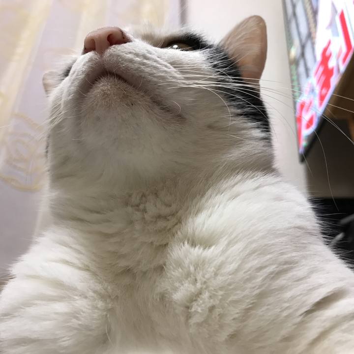 16cb6bd4 35a3 42d7 bf0d 7d72f5b8b61a 1535025670833