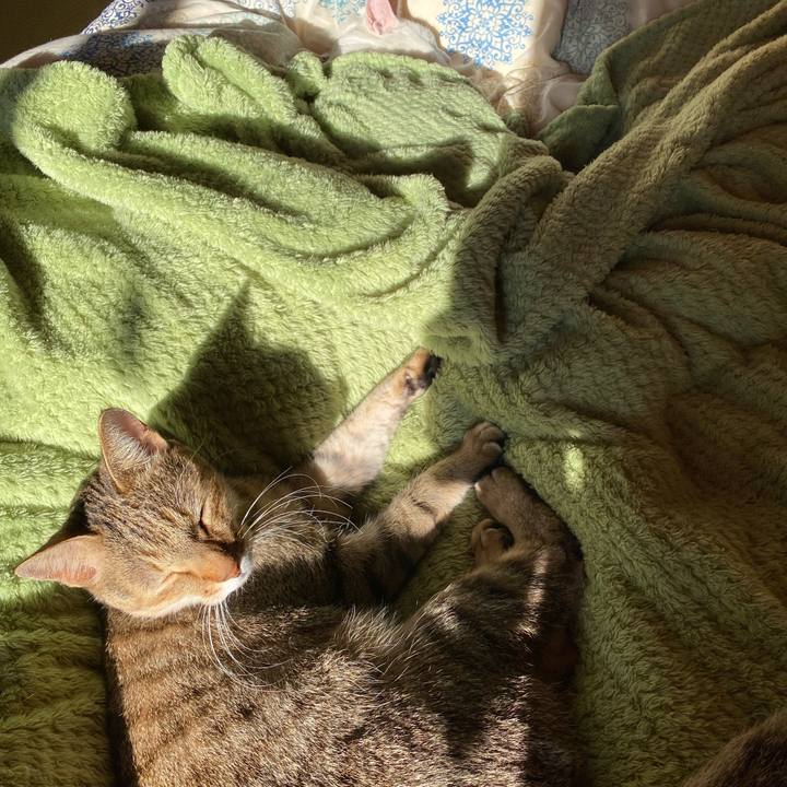 16cb987a eb41 4324 a112 8a853575552d 1635979354473