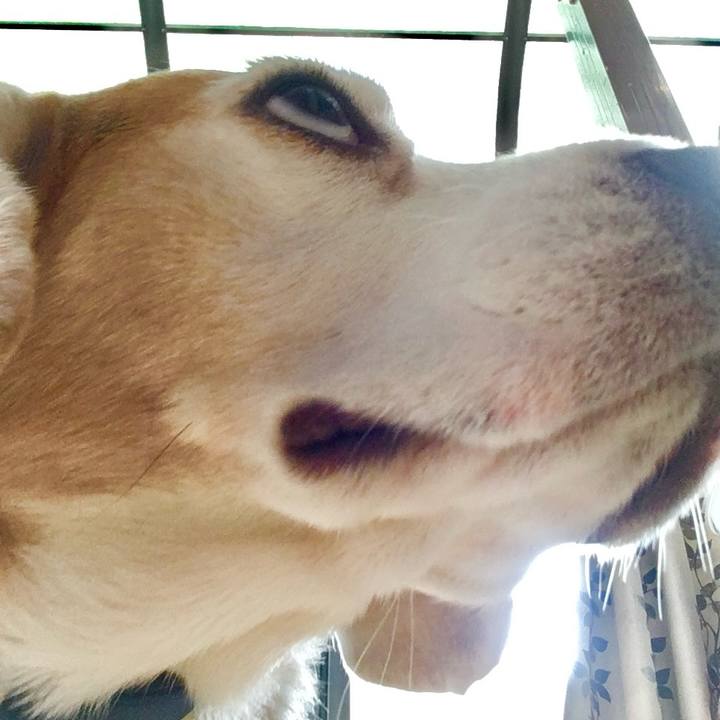 16cbb028 a4d7 4dae a37e 58765957e990 1771750767775