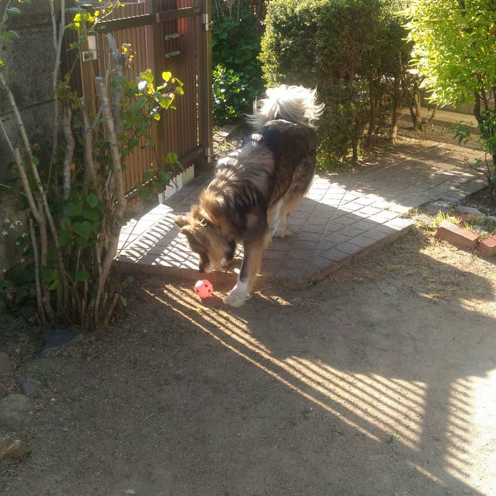 16cbb3c2 2a41 4982 81cc a8a49bc0f55d 1557552885432