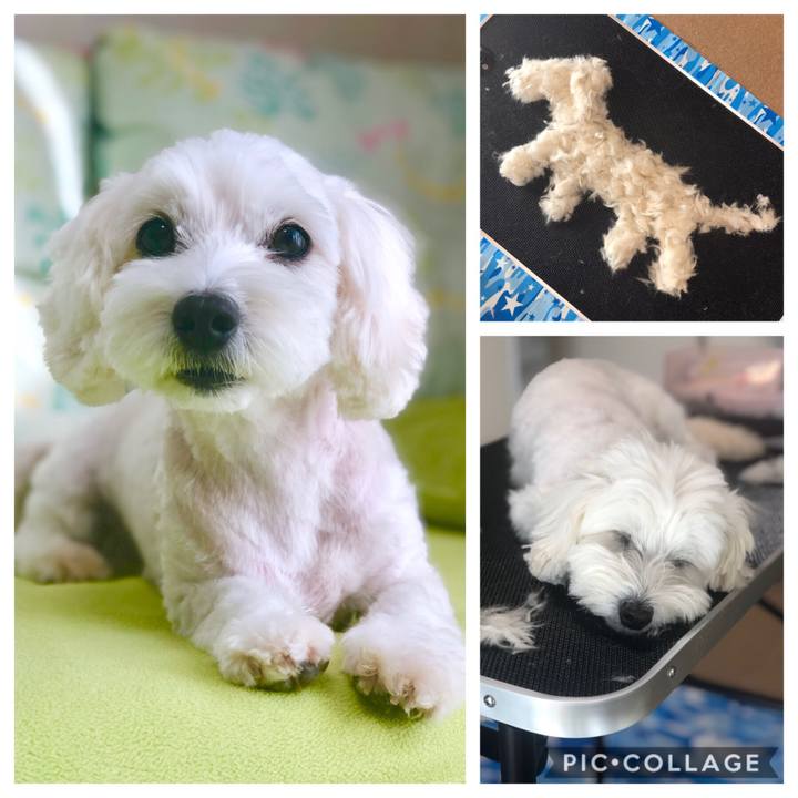 16cbb951 551c 45f1 b14e d5748fb9db67 1569933891942