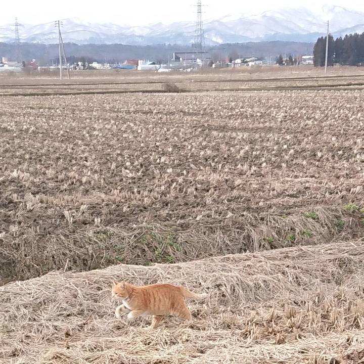 16cbbafd 1645 4422 8f20 df0dc1796bc8 1579409609468