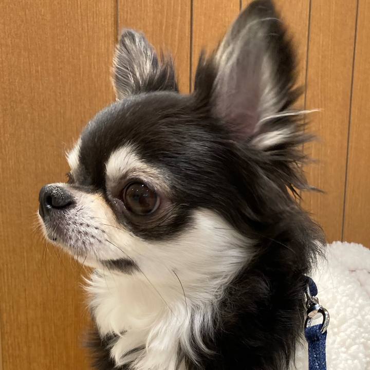 16cbd5cf 5ae8 4519 8d1d c5f1b72928a1 1674362472344