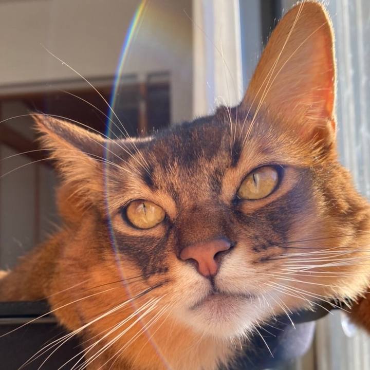 16cbea0f 7a1c 4e82 aaad a3f4ffbf3d8a 1637709594208