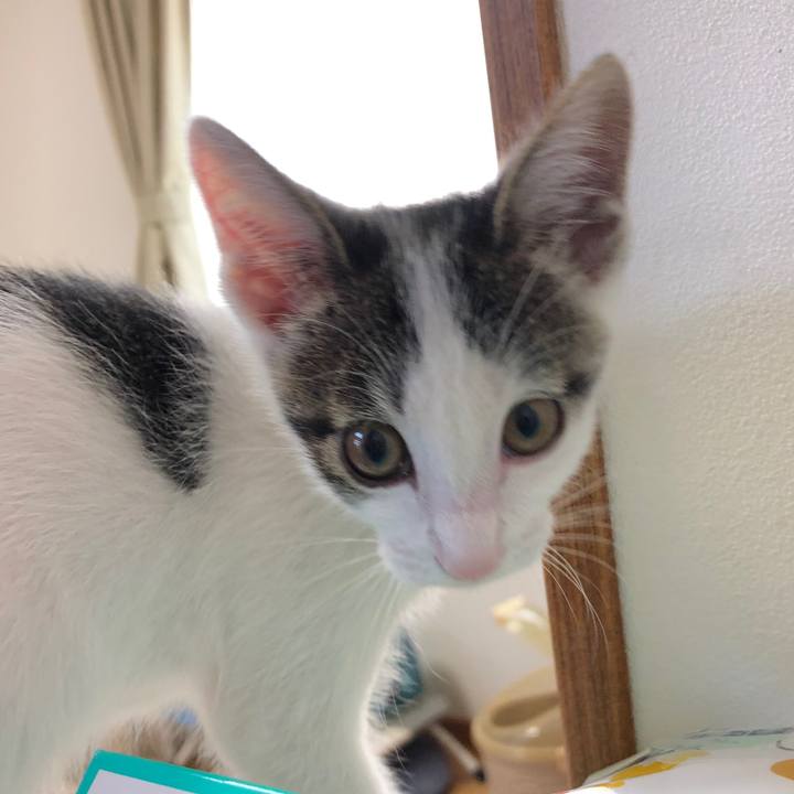 16cc1dda f1ae 4a67 b08e cfec0489a330 1562457322807