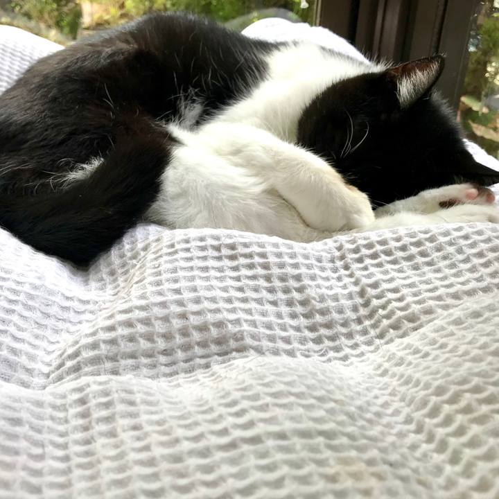 16cc3b19 6434 4396 acdf 9ef80eb20bd4 1570588330764