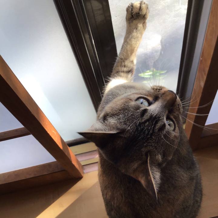 16cc42c4 d88b 4207 939f af27f8b4c591 1580778438466