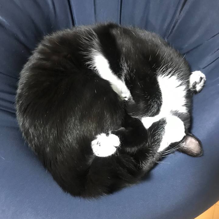 16cc5c45 d8ea 4916 8ac0 33a6c3449346 1669004460086