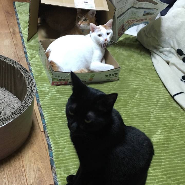 16cc79dd f4ae 4554 8c7b 220e784e7d5f 1541939999861