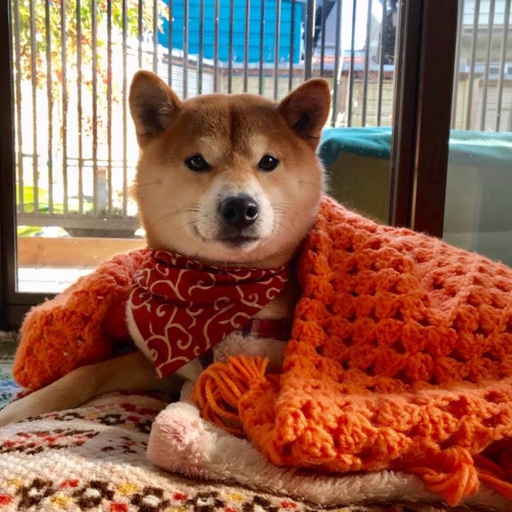 16ccb982 9ff2 454c aa7c c67677bff6bd 1518167996454