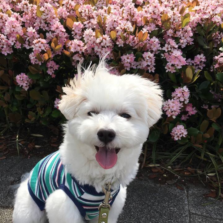 16cd185e 07a5 4f48 ad68 e23101e6b127 1557548385500