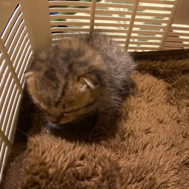 16cd24d0 6770 48bd 907b c8f14298d785 1618321408861