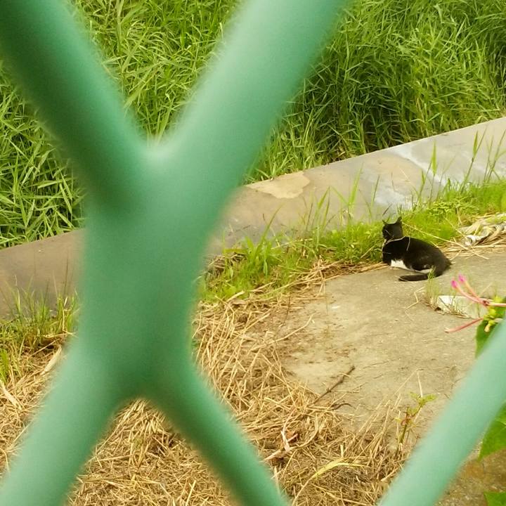 16cd59f0 33a1 4c1e bdc9 c6ef724fbea3 1563689860725