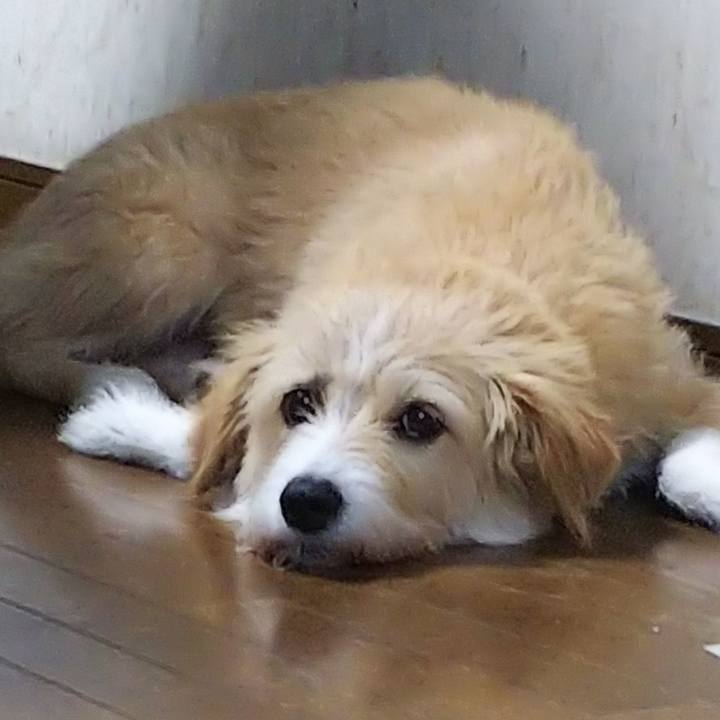 16cd6caf e5fb 43f5 96ac 03427c792e68 1565953032208