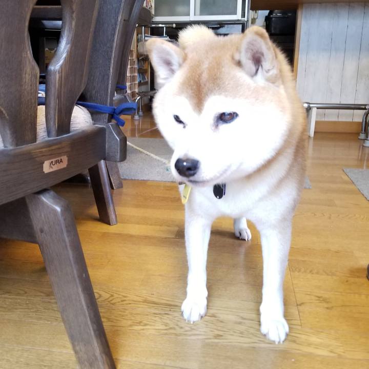 16cd707c 1ff5 432f 8eaa f5bfe3c314c4 1634699191357