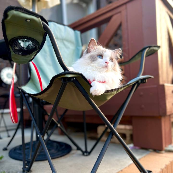 16cd7c35 d560 48d4 a3f6 2022d184aef0 1692219788105