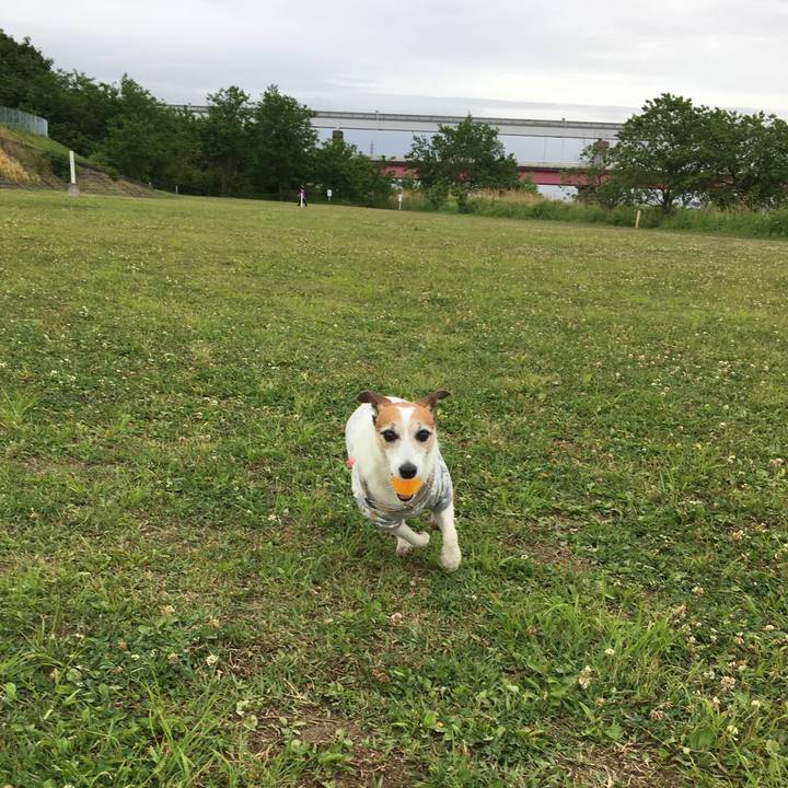 16cd9c0d a6df 4247 a906 7d7e0bb0cbdb 1621208212474