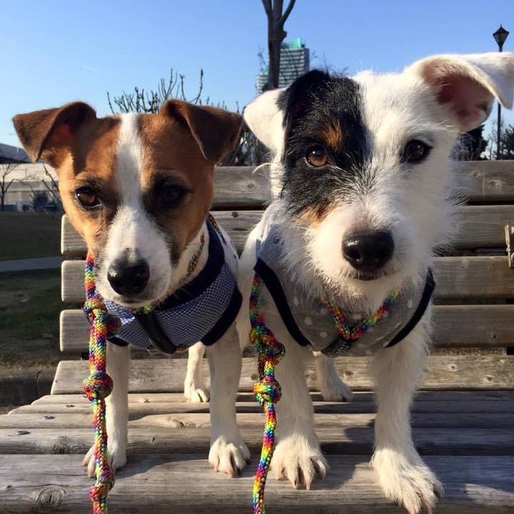 16cda5ad e9ff 4a56 9a16 f3b6914c5b0b 1704719668416