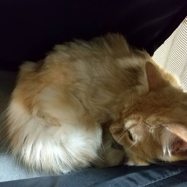 16cdb802 50a6 49f2 9508 64dbb79eb571 1631283117279