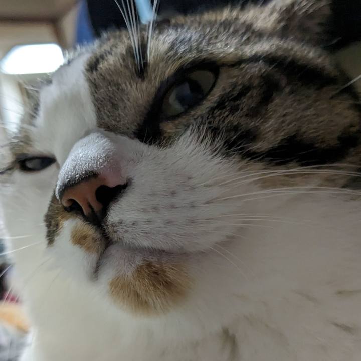 16ce1ae2 a561 49f4 a565 139156ced66c 1695374004388