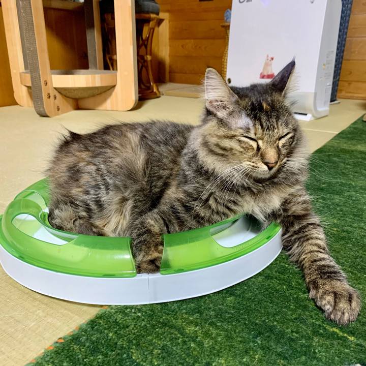 16ce4bb5 4104 415f aa9f f8b540a82834 1655287765481