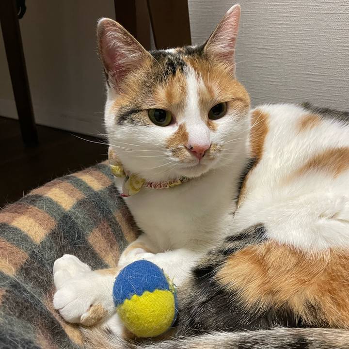 16ce56cf d7bf 48b3 811a b6c8eba50d84 1646230518966