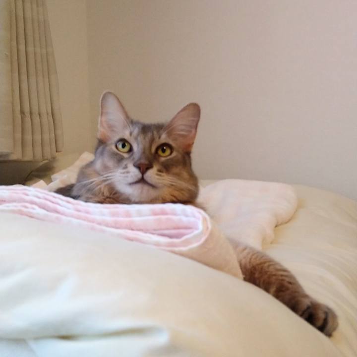 16ce6184 2068 41a6 8207 eb6d72480d79 1603350231660