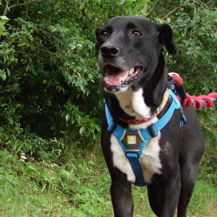 16ce67c5 b097 4462 abdf 060916954f48 1621209453970