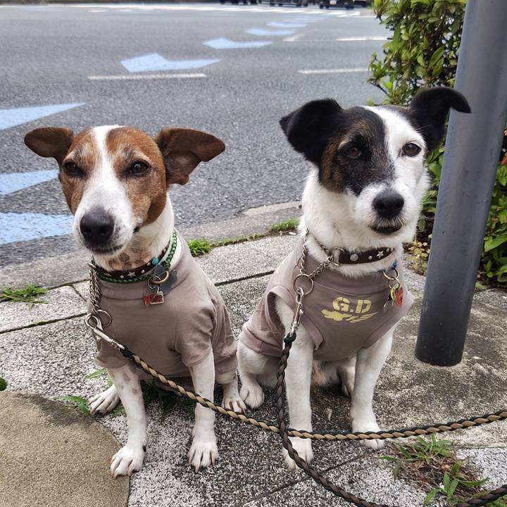 16ce69e3 af04 4fa4 a6fa 808ba296eb03 1749767016939